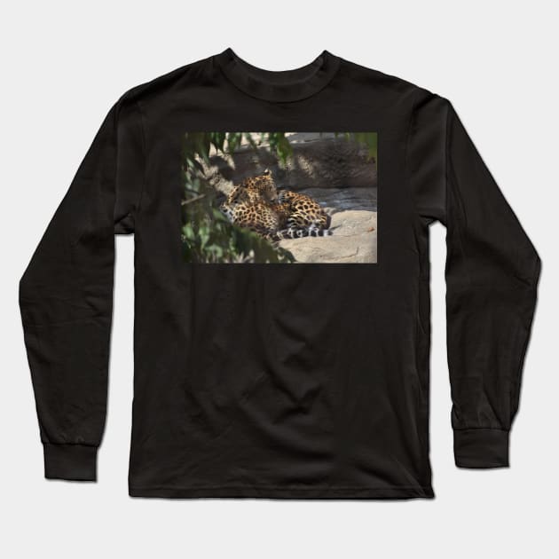 Leopard and Cub Long Sleeve T-Shirt by MarieDarcy